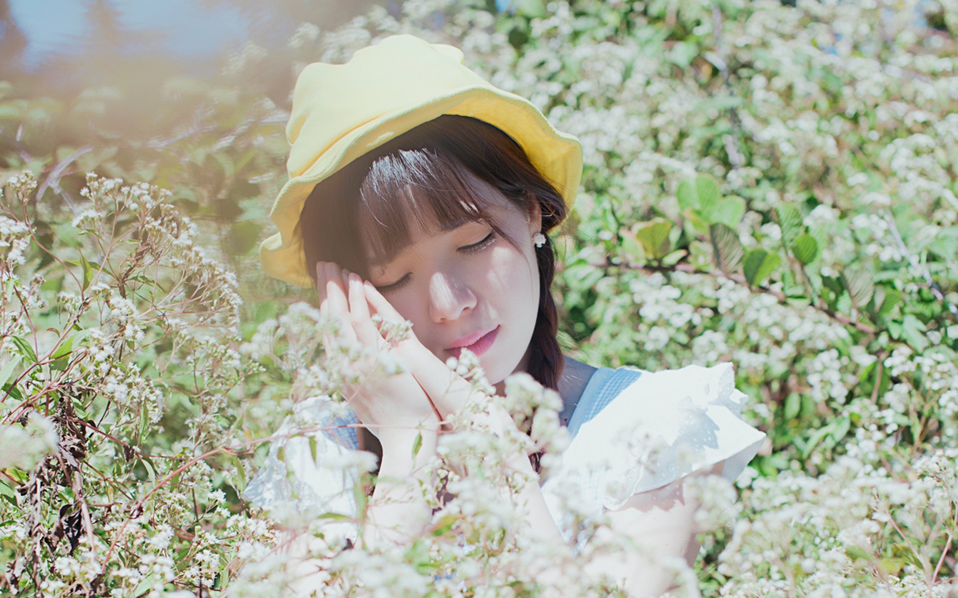 DreamsofDesireintheDark完整版资源